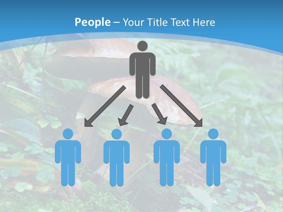 A Group Of Mushrooms In The Forest Powerpoint Template PowerPoint Template