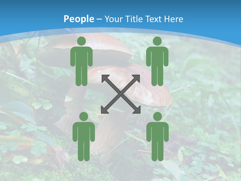 A Group Of Mushrooms In The Forest Powerpoint Template PowerPoint Template