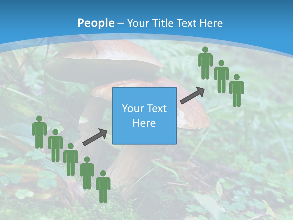 A Group Of Mushrooms In The Forest Powerpoint Template PowerPoint Template