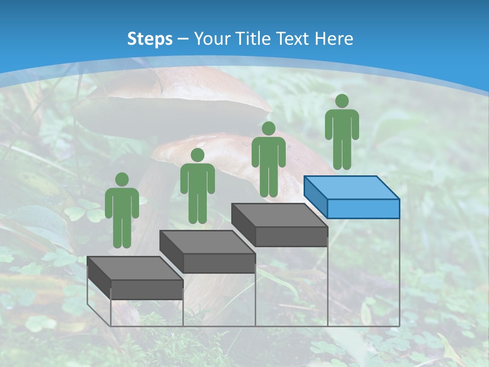 A Group Of Mushrooms In The Forest Powerpoint Template PowerPoint Template