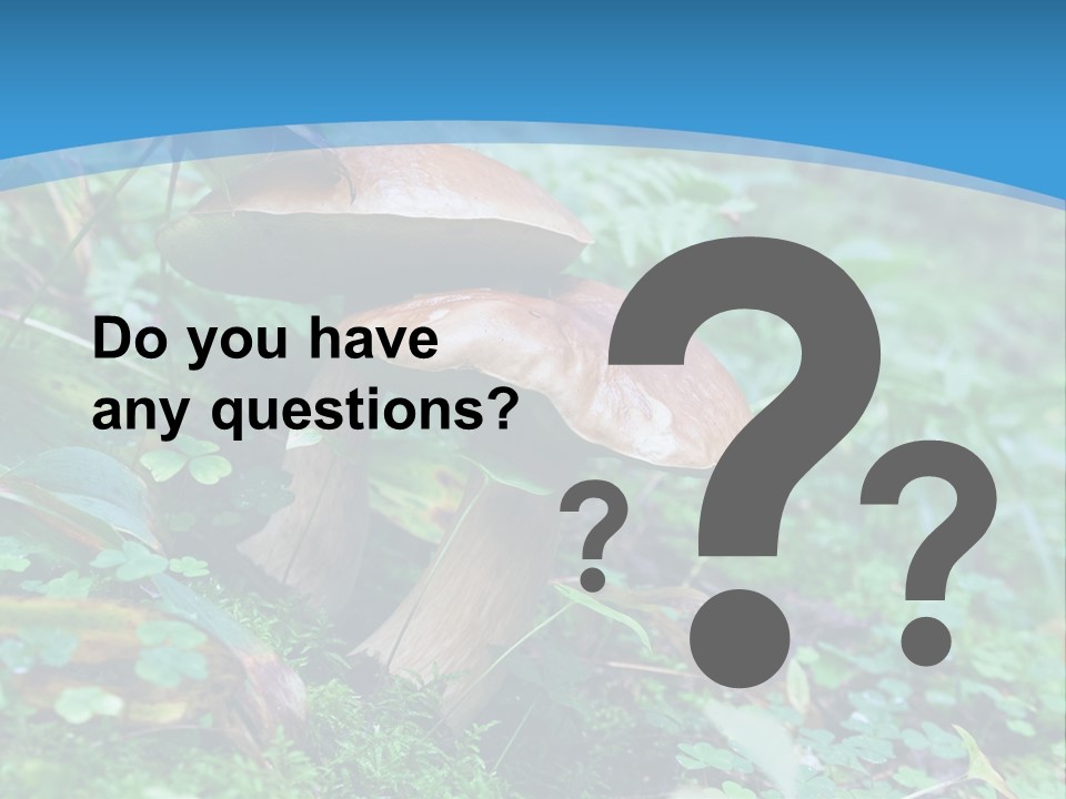 A Group Of Mushrooms In The Forest Powerpoint Template PowerPoint Template