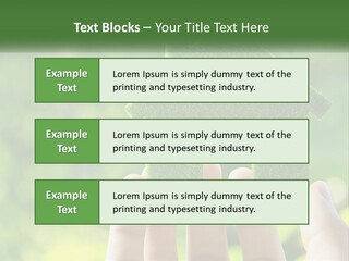 A Person Holding A Small Green House In Their Hands PowerPoint Template