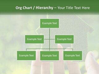 A Person Holding A Small Green House In Their Hands PowerPoint Template