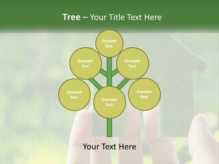 A Person Holding A Small Green House In Their Hands PowerPoint Template