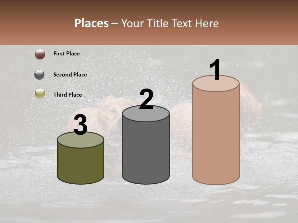 Two Brown Dogs Splashing In A Body Of Water PowerPoint Template