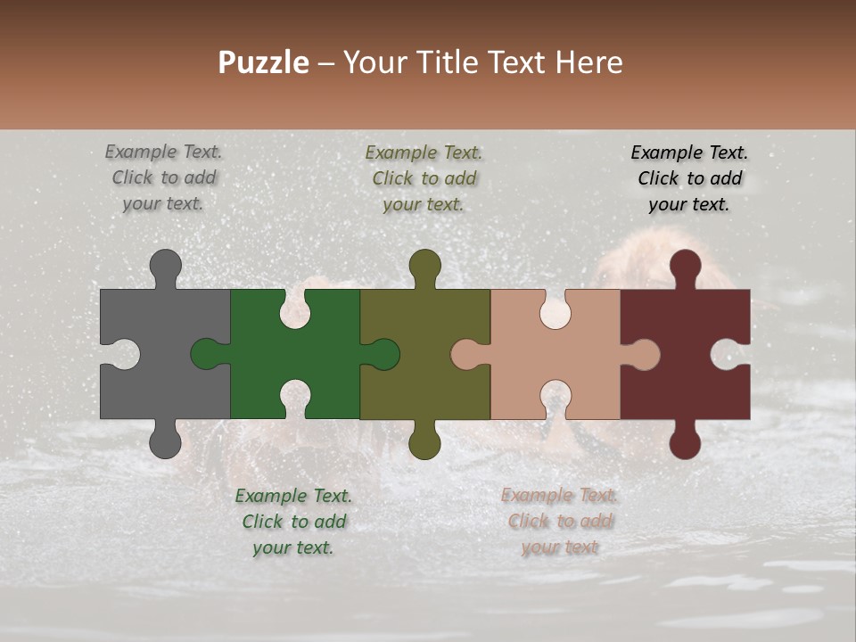 Two Brown Dogs Splashing In A Body Of Water PowerPoint Template