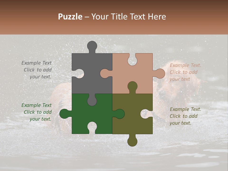 Two Brown Dogs Splashing In A Body Of Water PowerPoint Template