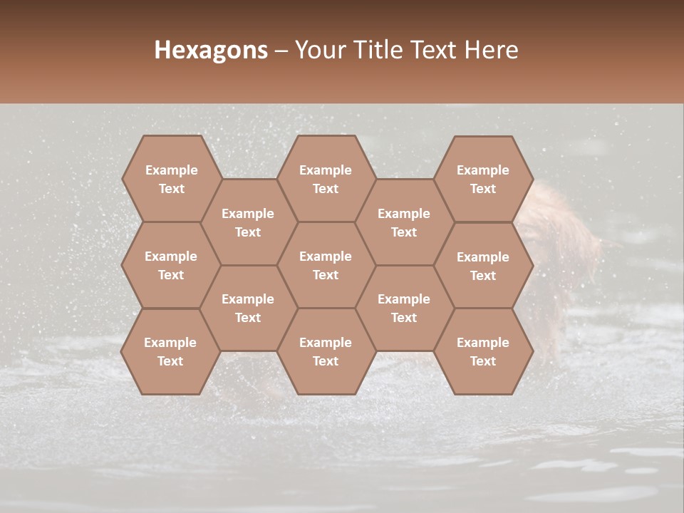 Two Brown Dogs Splashing In A Body Of Water PowerPoint Template