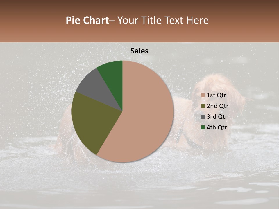 Two Brown Dogs Splashing In A Body Of Water PowerPoint Template