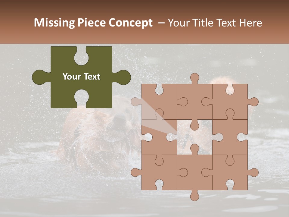 Two Brown Dogs Splashing In A Body Of Water PowerPoint Template