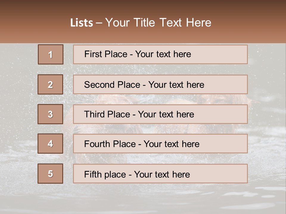 Two Brown Dogs Splashing In A Body Of Water PowerPoint Template