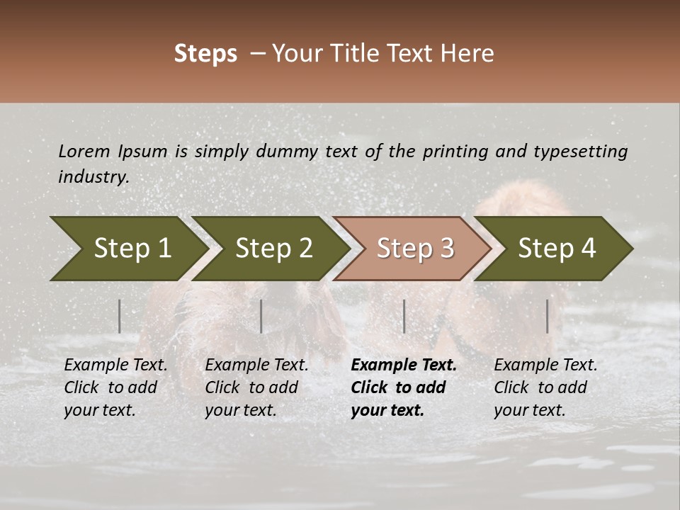 Two Brown Dogs Splashing In A Body Of Water PowerPoint Template