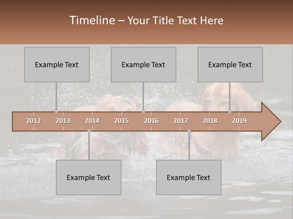 Two Brown Dogs Splashing In A Body Of Water PowerPoint Template