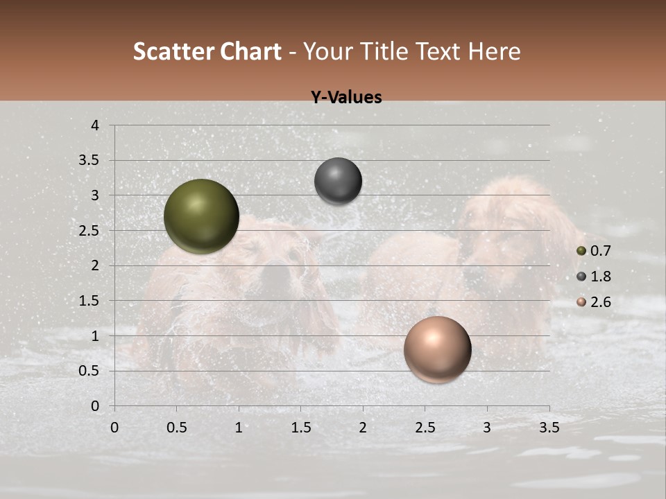 Two Brown Dogs Splashing In A Body Of Water PowerPoint Template