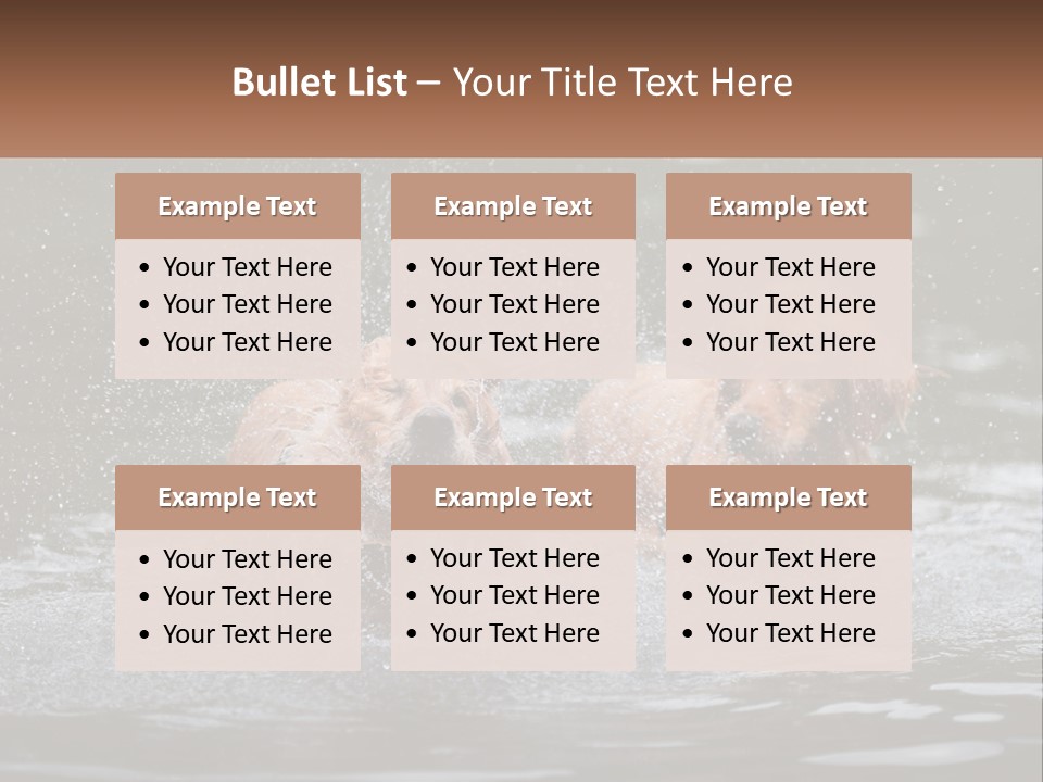 Two Brown Dogs Splashing In A Body Of Water PowerPoint Template