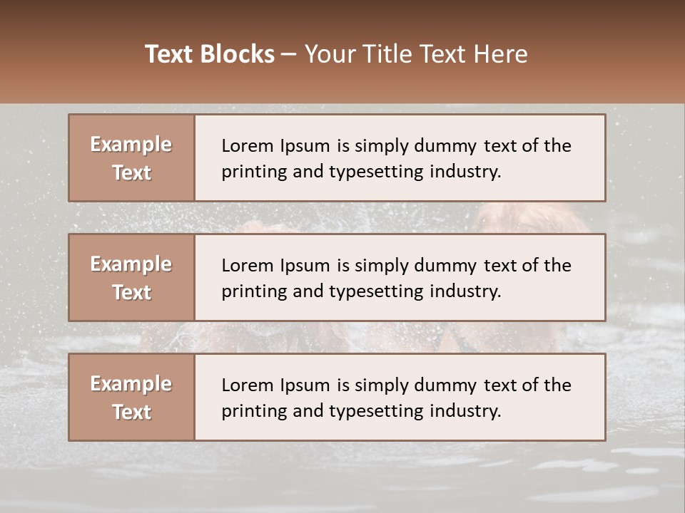 Two Brown Dogs Splashing In A Body Of Water PowerPoint Template