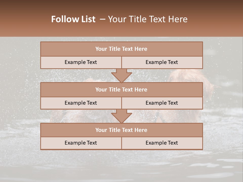 Two Brown Dogs Splashing In A Body Of Water PowerPoint Template