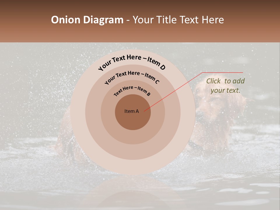 Two Brown Dogs Splashing In A Body Of Water PowerPoint Template