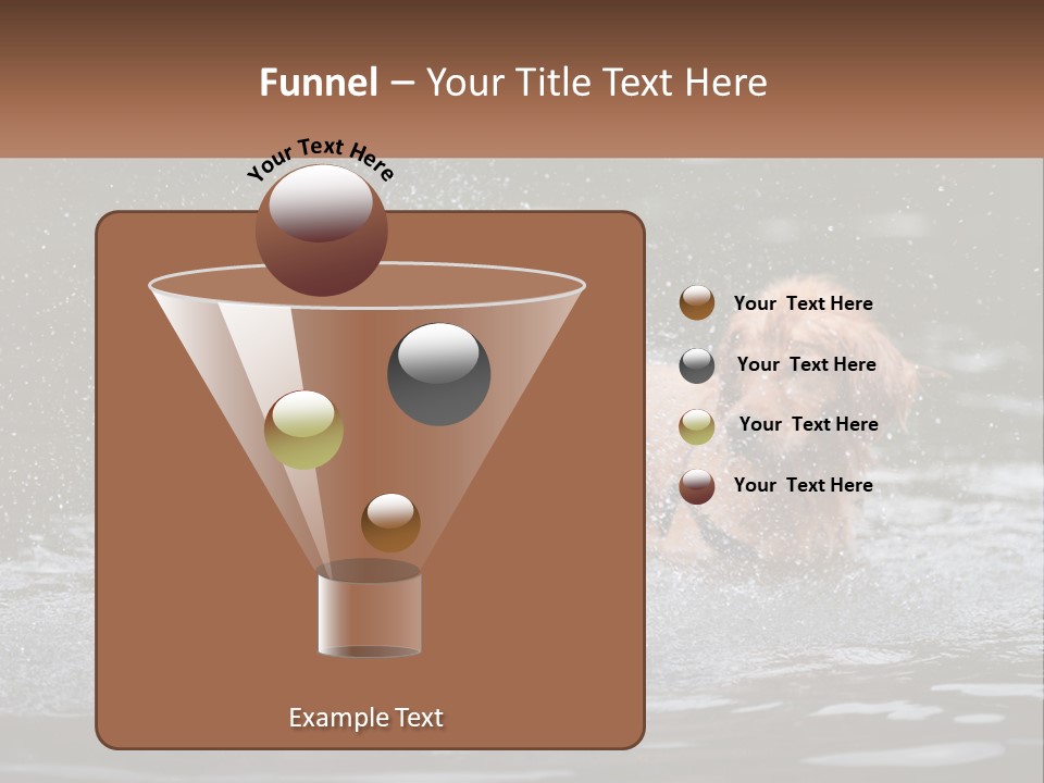 Two Brown Dogs Splashing In A Body Of Water PowerPoint Template