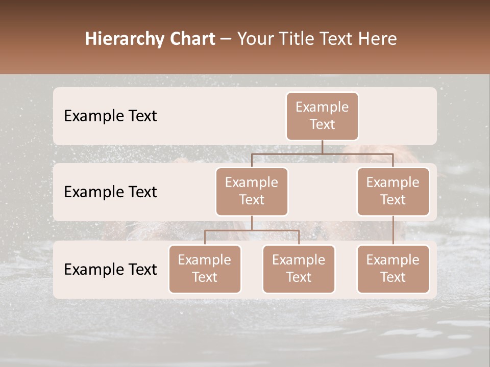 Two Brown Dogs Splashing In A Body Of Water PowerPoint Template