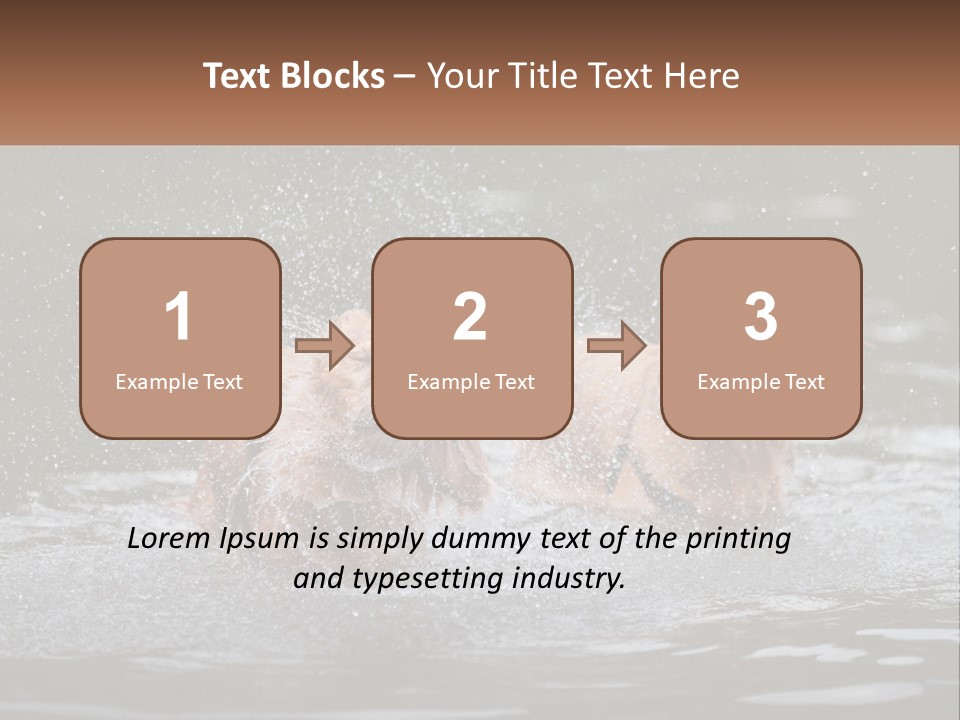 Two Brown Dogs Splashing In A Body Of Water PowerPoint Template