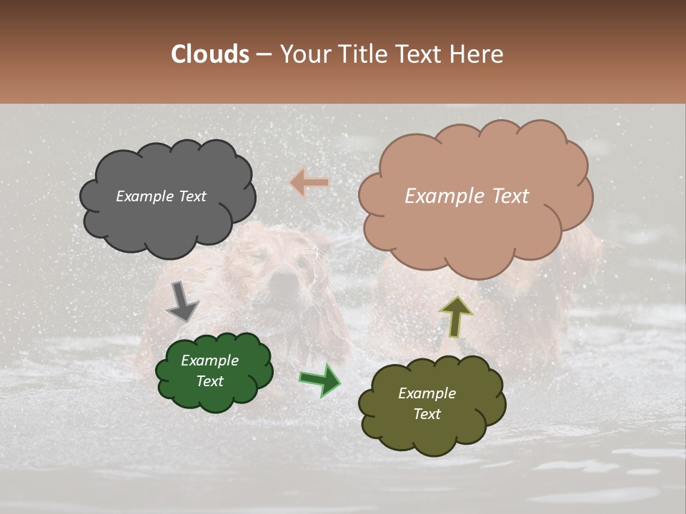 Two Brown Dogs Splashing In A Body Of Water PowerPoint Template