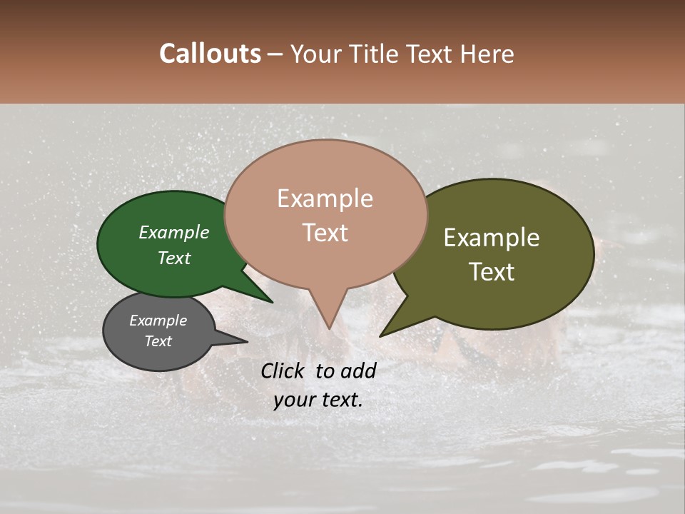 Two Brown Dogs Splashing In A Body Of Water PowerPoint Template