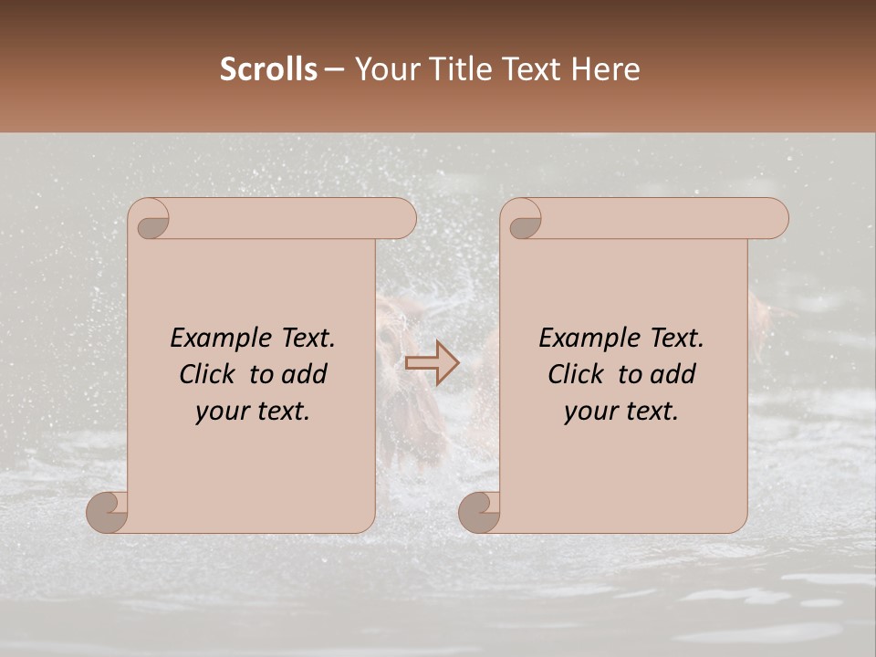 Two Brown Dogs Splashing In A Body Of Water PowerPoint Template