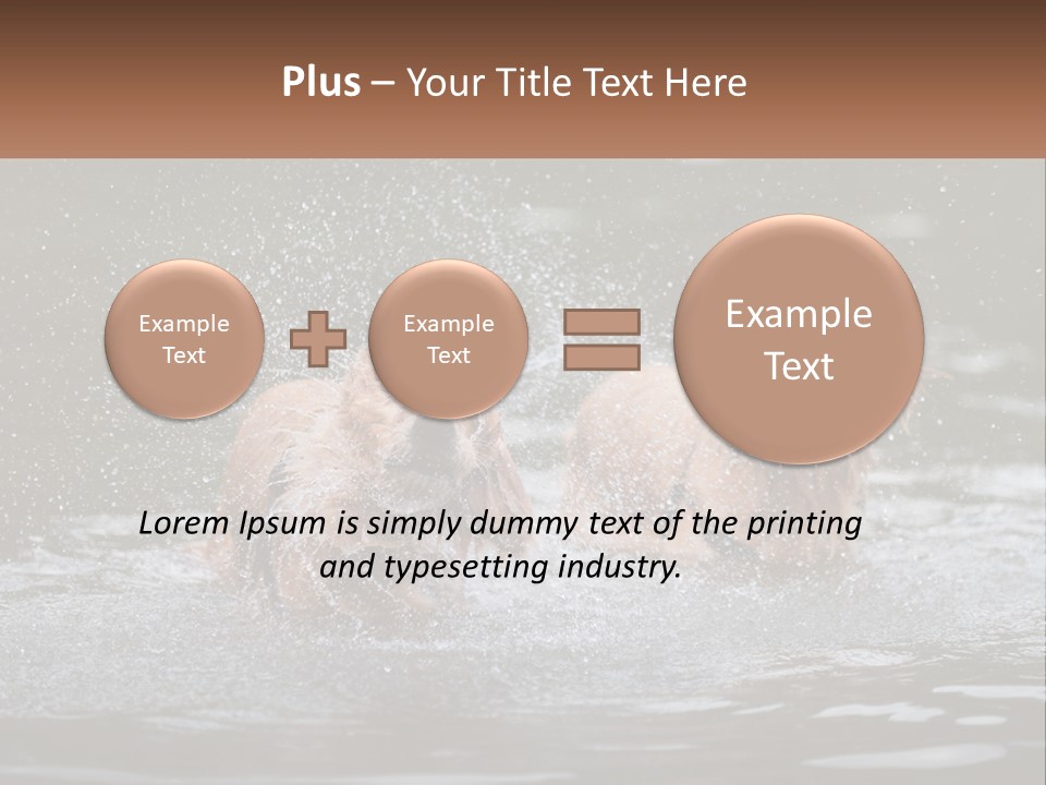Two Brown Dogs Splashing In A Body Of Water PowerPoint Template