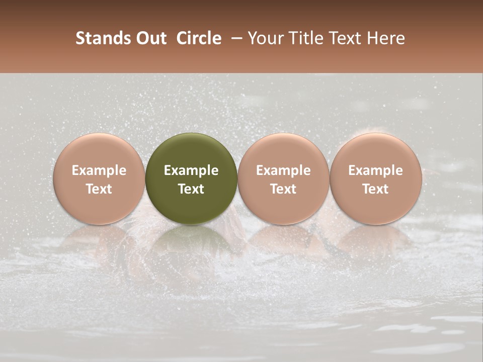 Two Brown Dogs Splashing In A Body Of Water PowerPoint Template