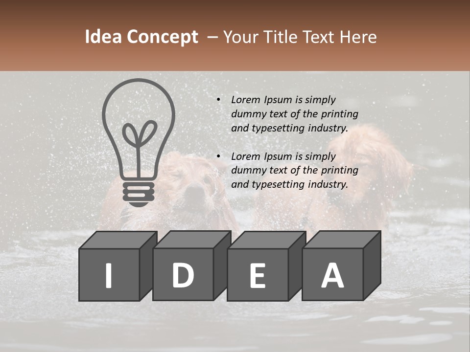 Two Brown Dogs Splashing In A Body Of Water PowerPoint Template