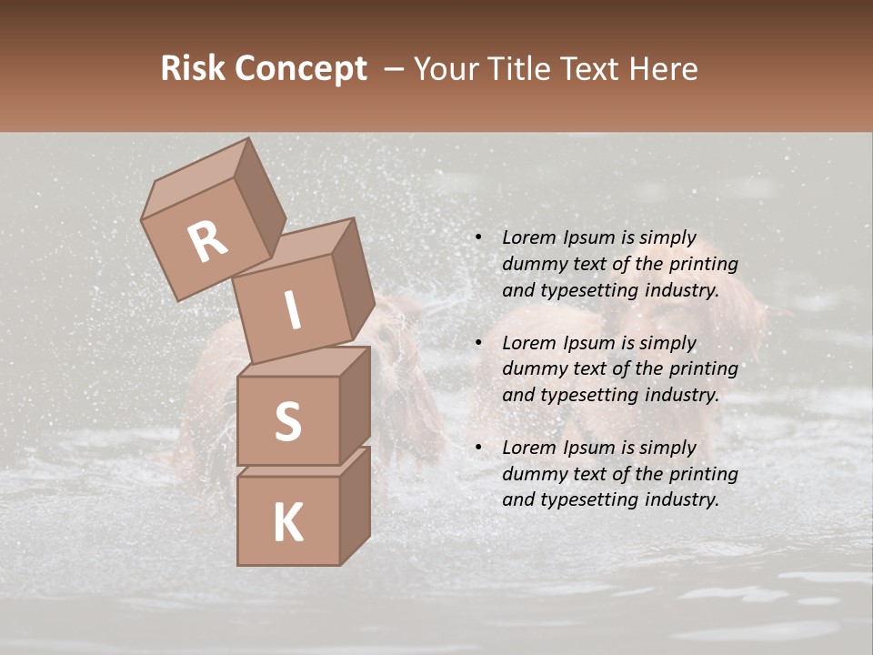 Two Brown Dogs Splashing In A Body Of Water PowerPoint Template