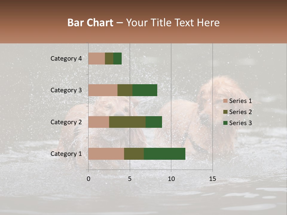 Two Brown Dogs Splashing In A Body Of Water PowerPoint Template
