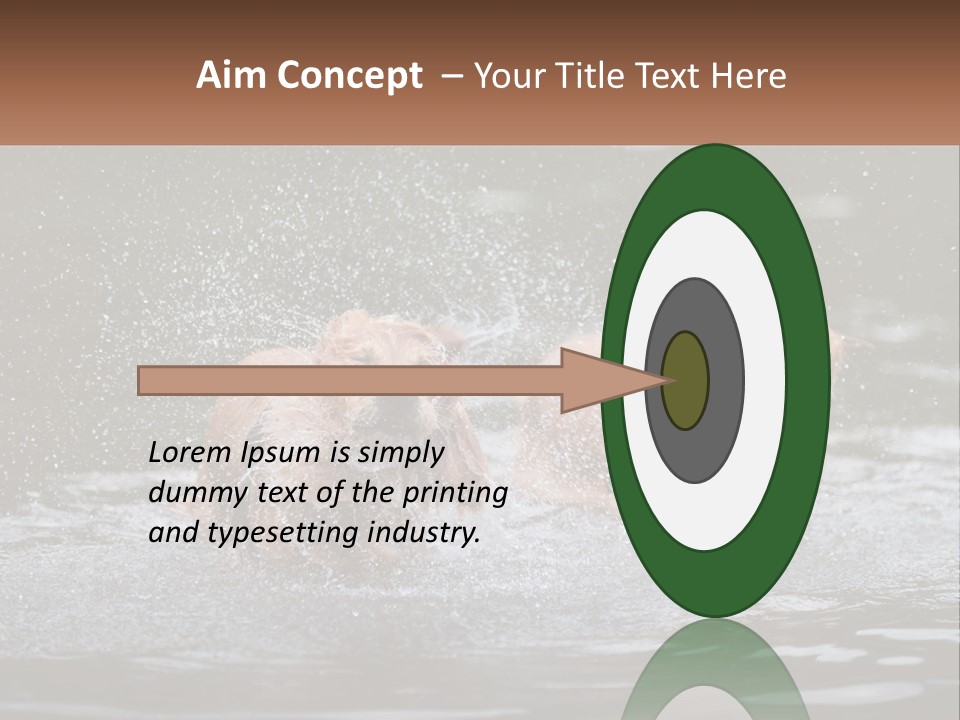 Two Brown Dogs Splashing In A Body Of Water PowerPoint Template
