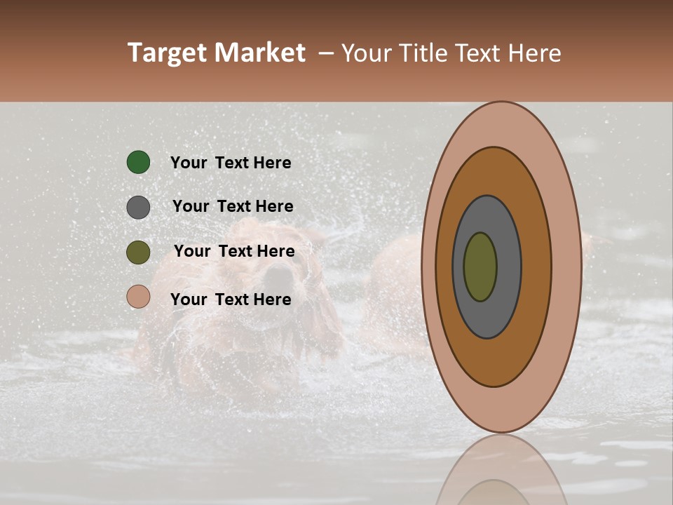 Two Brown Dogs Splashing In A Body Of Water PowerPoint Template