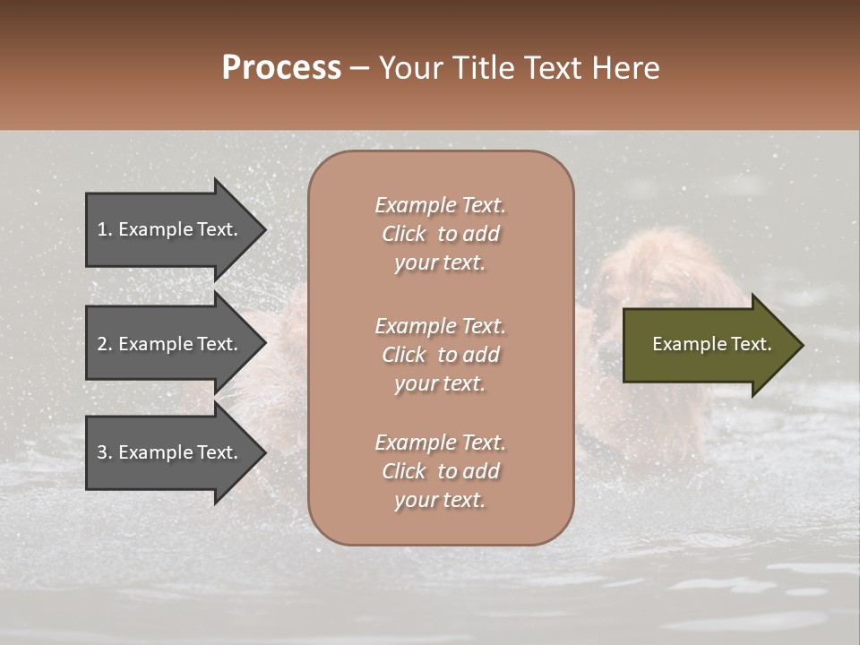 Two Brown Dogs Splashing In A Body Of Water PowerPoint Template