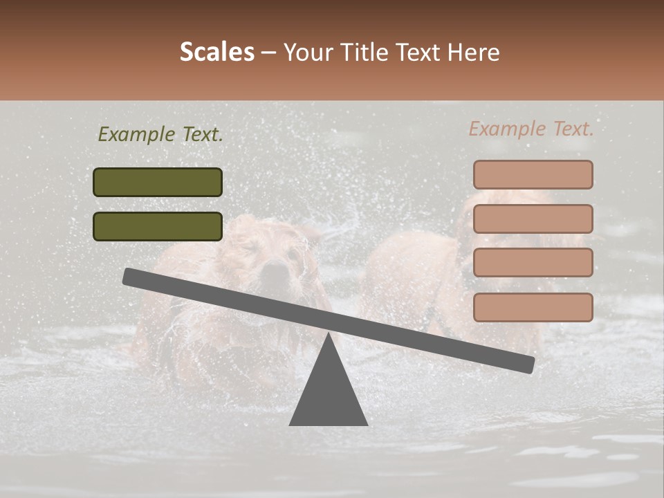 Two Brown Dogs Splashing In A Body Of Water PowerPoint Template