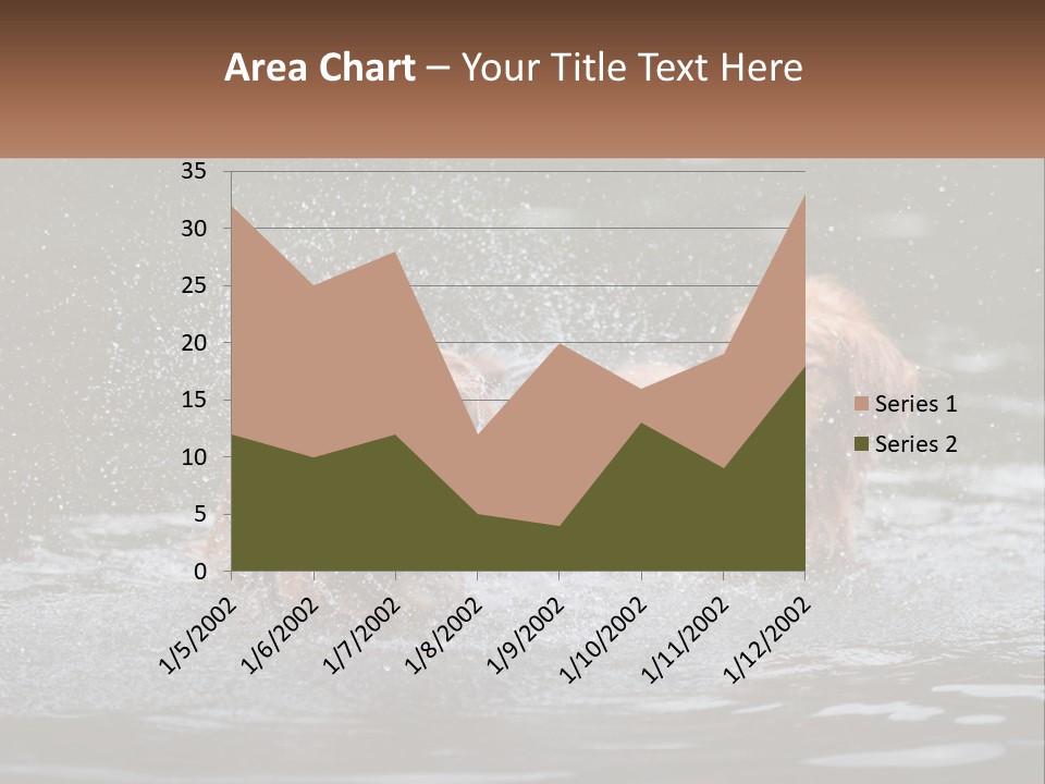 Two Brown Dogs Splashing In A Body Of Water PowerPoint Template