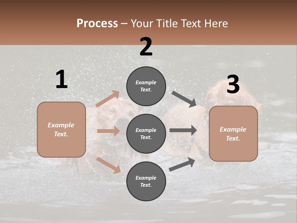 Two Brown Dogs Splashing In A Body Of Water PowerPoint Template