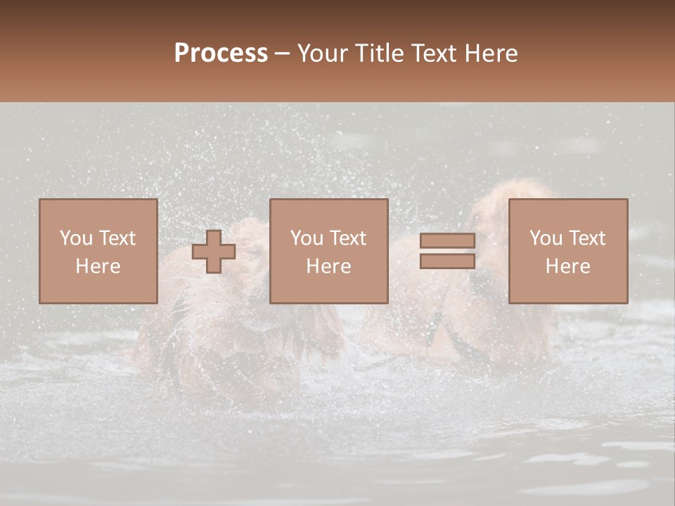 Two Brown Dogs Splashing In A Body Of Water PowerPoint Template