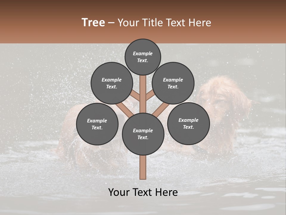 Two Brown Dogs Splashing In A Body Of Water PowerPoint Template