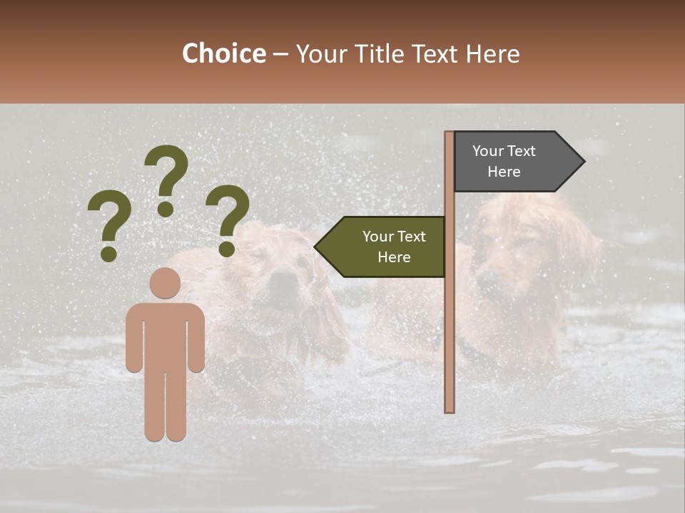 Two Brown Dogs Splashing In A Body Of Water PowerPoint Template