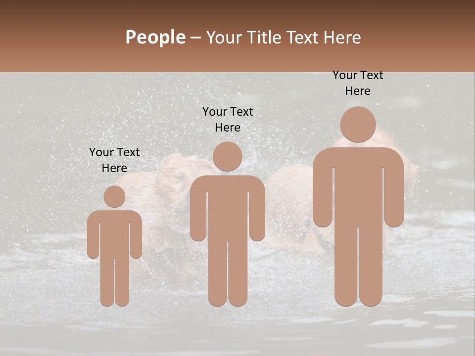 Two Brown Dogs Splashing In A Body Of Water PowerPoint Template