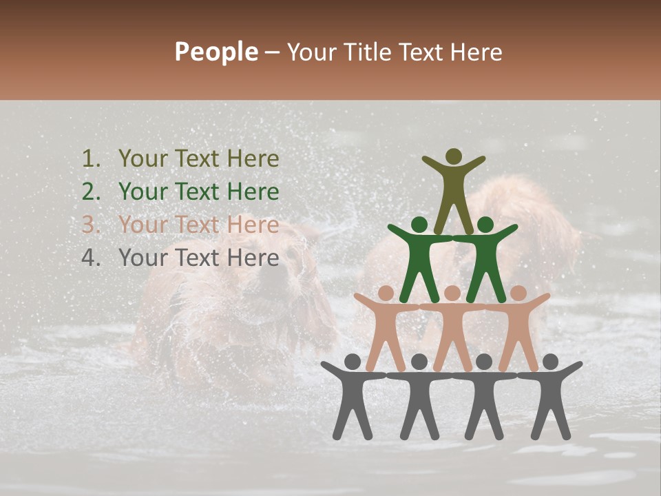 Two Brown Dogs Splashing In A Body Of Water PowerPoint Template