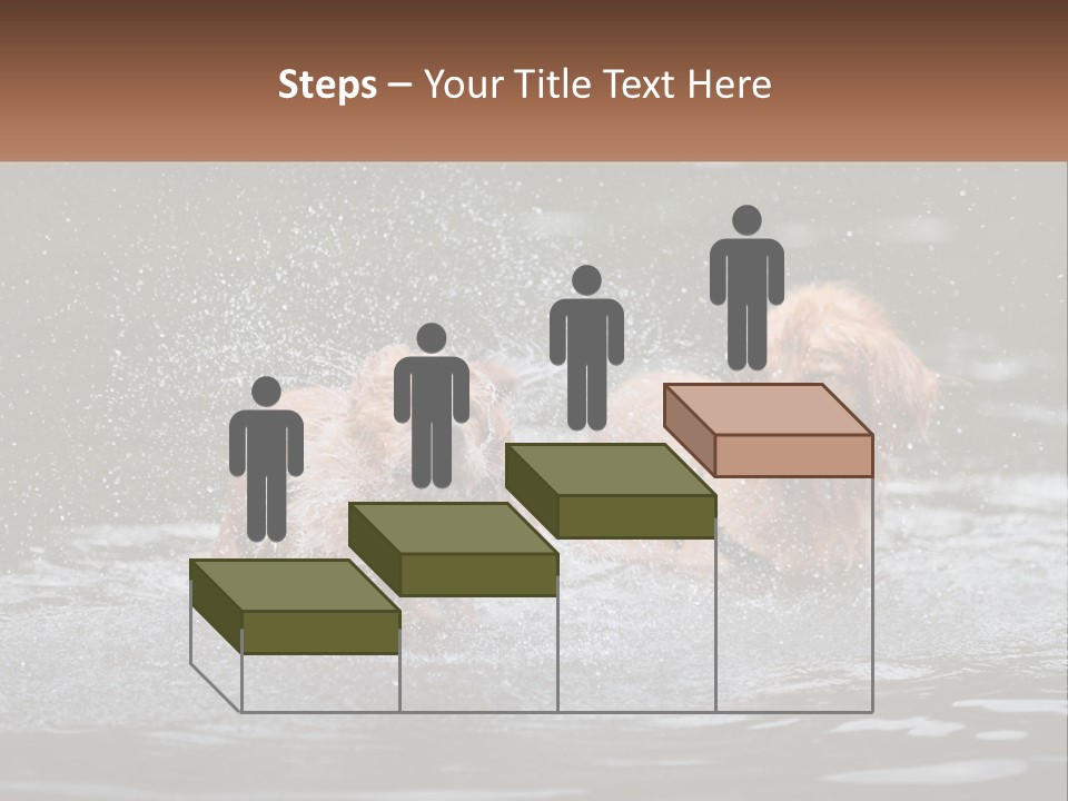 Two Brown Dogs Splashing In A Body Of Water PowerPoint Template