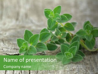 A Bunch Of Green Leaves Sitting On Top Of A Wooden Table PowerPoint Template