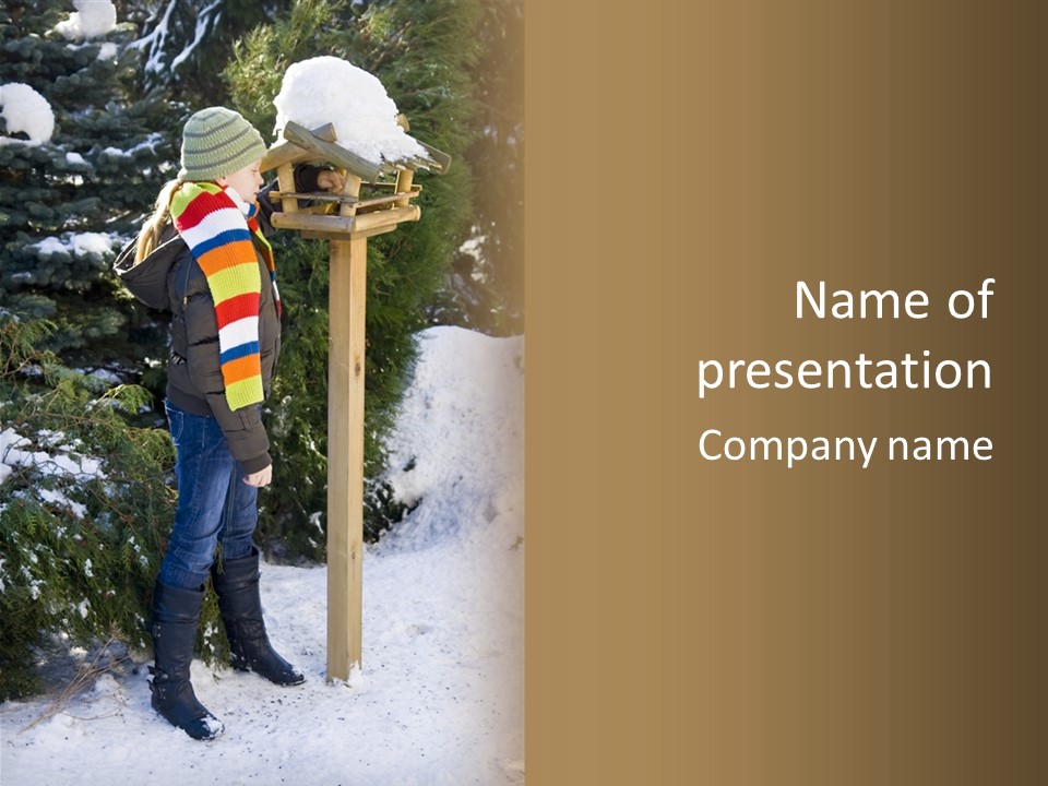 A Person Standing Next To A Bird Feeder In The Snow PowerPoint Template