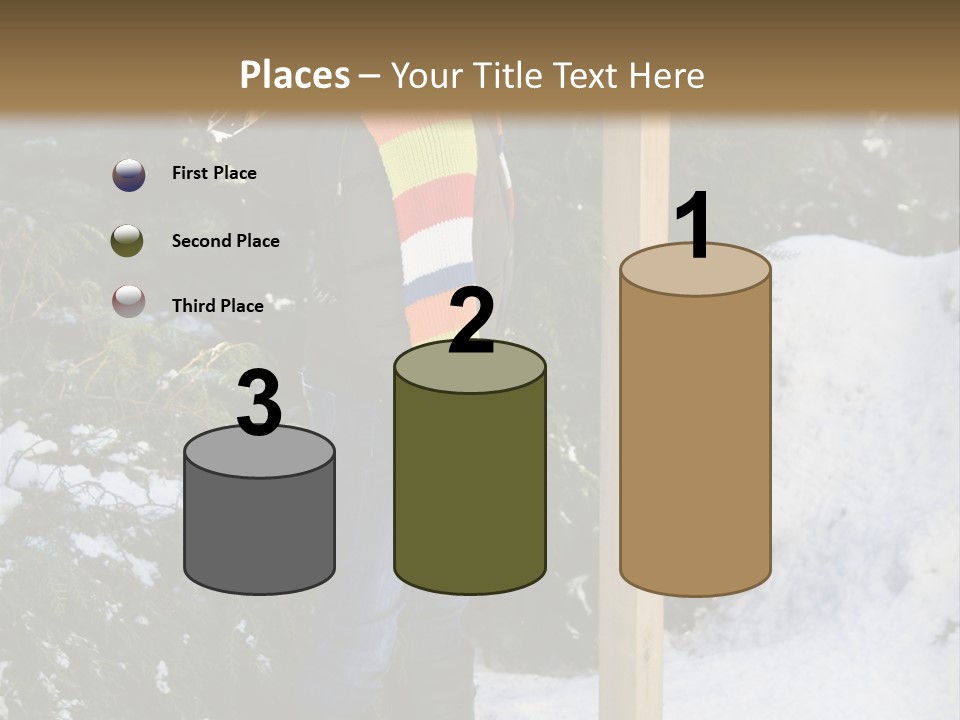 A Person Standing Next To A Bird Feeder In The Snow PowerPoint Template