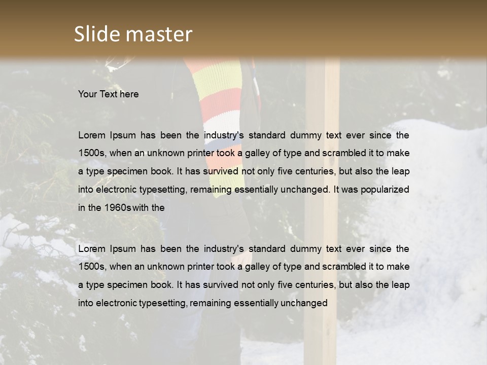 A Person Standing Next To A Bird Feeder In The Snow PowerPoint Template