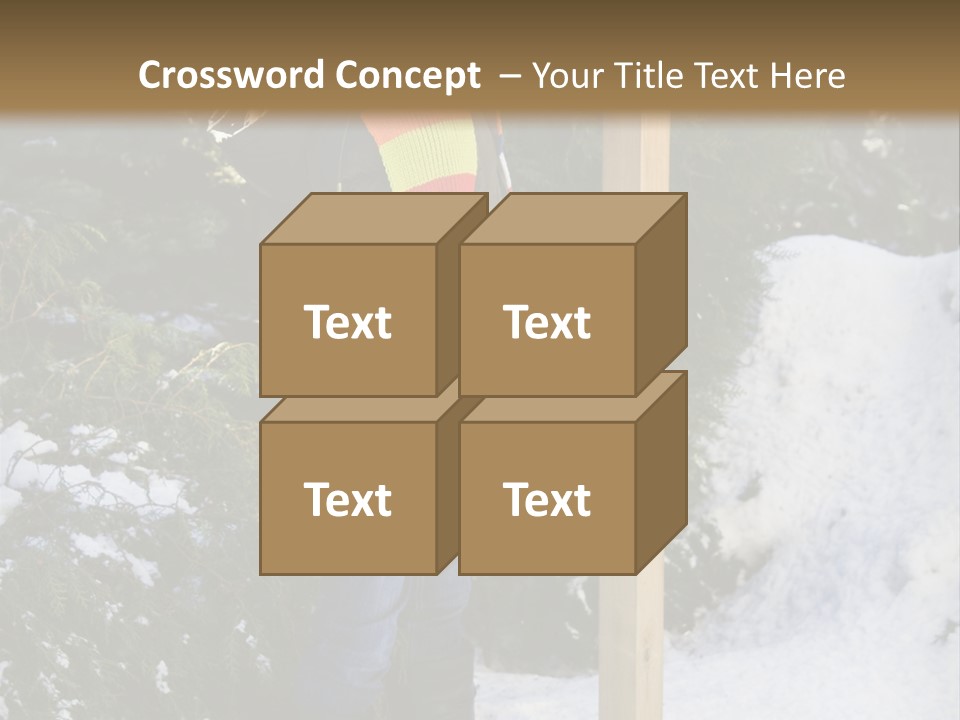 A Person Standing Next To A Bird Feeder In The Snow PowerPoint Template